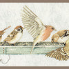 DIY Counted cross stitch kit Pecking order