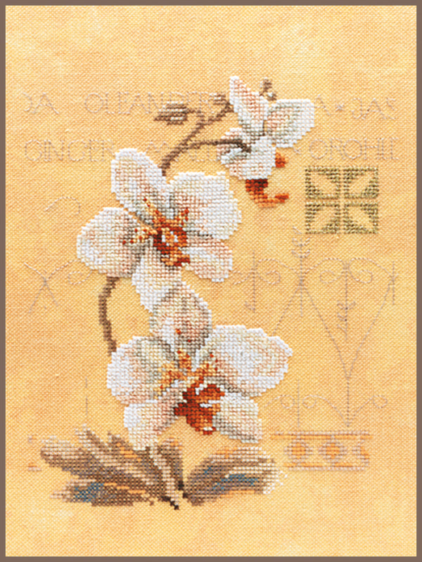 DIY Counted cross stitch kit Three orchids