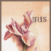 DIY Counted cross stitch kit Iris - botanical