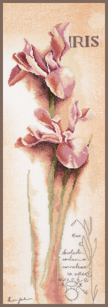 DIY Counted cross stitch kit Iris - botanical