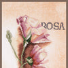 DIY Counted cross stitch kit Rosa - botanical