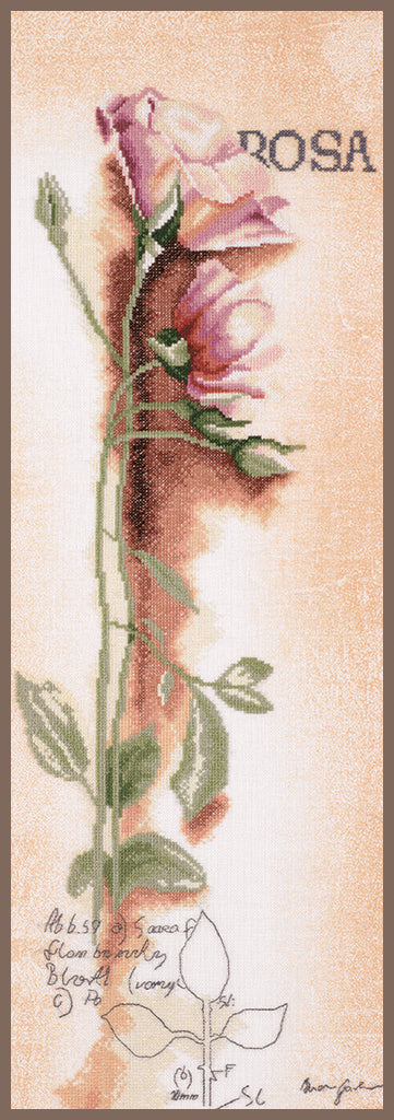 DIY Counted cross stitch kit Rosa - botanical