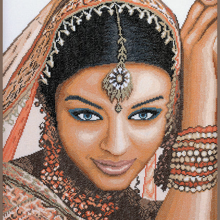 DIY Counted cross stitch kit Indian model