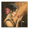 DIY Counted cross stitch kit Spanish beauty