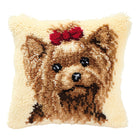 DIY Latch Hook Cushion Kit 
