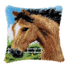 DIY Latch Hook Cushion Kit 
