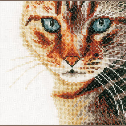 DIY Counted cross stitch kit Cat close-up