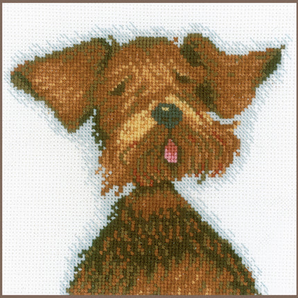 DIY Counted cross stitch kit General