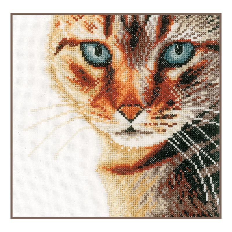 DIY Counted cross stitch kit Cat close-up