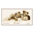 DIY Counted cross stitch kit Baby sleeps 30 x 16 cm / 12" x 6.4"