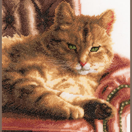 DIY Counted cross stitch kit Relaxed tabby