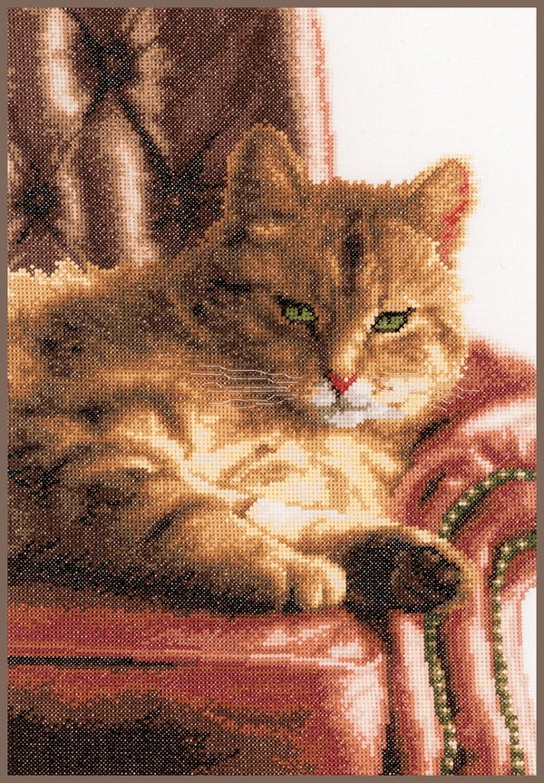 DIY Counted cross stitch kit Relaxed tabby