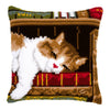 DIY Cross stitch cushion kit Cat sleeping on bookshelf