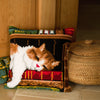 DIY Cross stitch cushion kit Cat sleeping on bookshelf