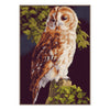 DIY Counted cross stitch kit Owl