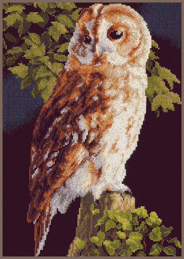 DIY Counted cross stitch kit Owl