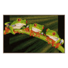 DIY Counted cross stitch kit Red-eyed tree frogs 27 x 17 cm / 10.8