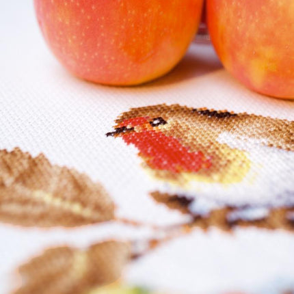 DIY Table Runner kit "Aida table runner kit Robin redbreast with apples"