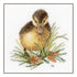 DIY Counted cross stitch kit Duckling I