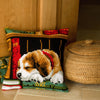 DIY Cross stitch cushion kit Dog sleeping on bookshelf