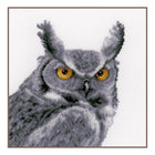 DIY Counted cross stitch kit Grey owl 17 x 17 cm / 6.8