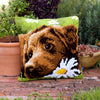 DIY Cross stitch cushion kit Chocolate labrador