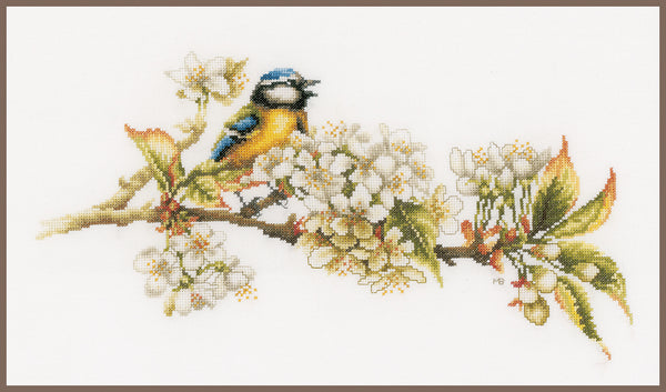 DIY Counted cross stitch kit Blue tit