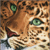 DIY Counted cross stitch kit Leopard