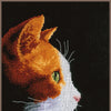 DIY Counted cross stitch kit Kitten II 18 x 27 cm / 7.2" x 10.8"