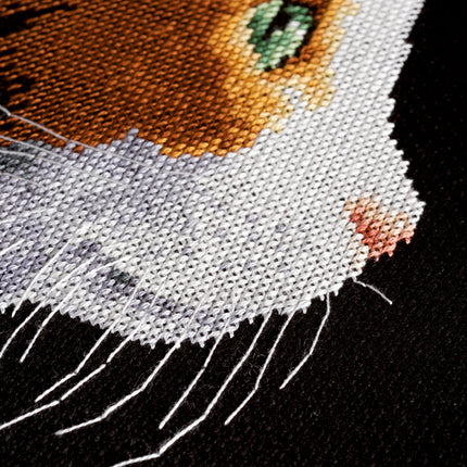 DIY Counted cross stitch kit Kitten II 18 x 27 cm / 7.2" x 10.8"