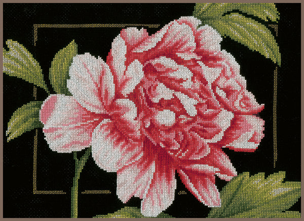 DIY Counted cross stitch kit Pink rose