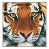 DIY Counted cross stitch kit Tiger