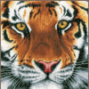 DIY Counted cross stitch kit Tiger