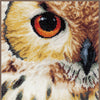 DIY Counted cross stitch kit Owl