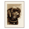 DIY Counted cross stitch kit Labrador puppy 24 x 31 cm / 9.6" x 12.4"