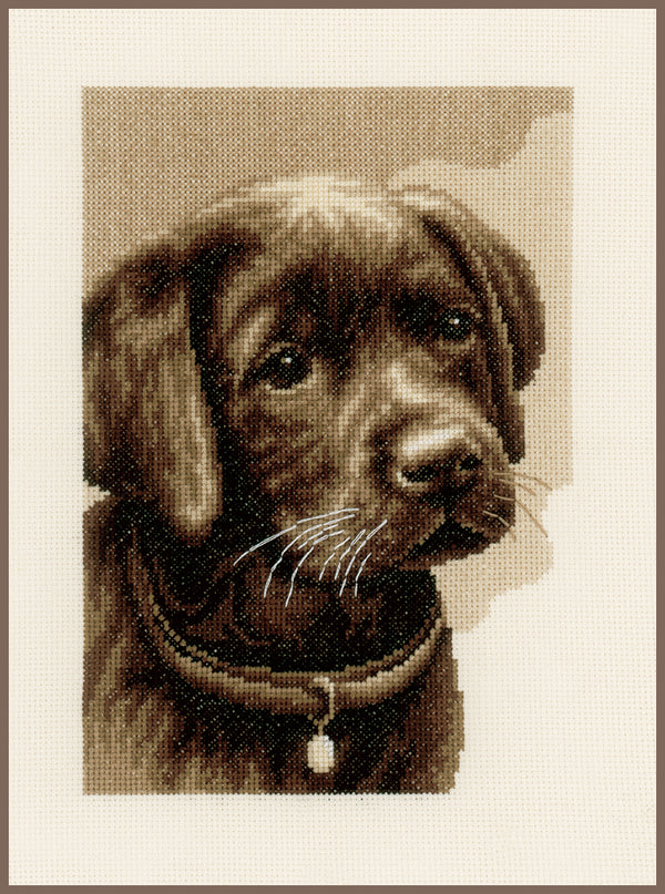 DIY Counted cross stitch kit Labrador puppy 24 x 31 cm / 9.6