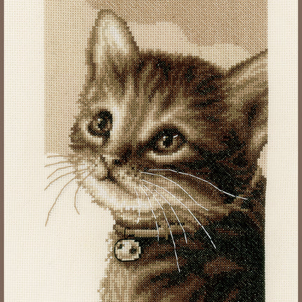 DIY Counted cross stitch kit Kitten 24 x 31 cm / 9.6" x 12.4"