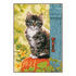 DIY Counted cross stitch kit Cat & pumpkin 25 x 35 cm / 10" x 14"