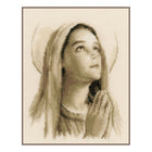 DIY Counted cross stitch kit Holy Mary 20 x 25 cm / 8
