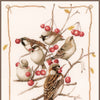 DIY Counted cross stitch kit Sparrows and currant