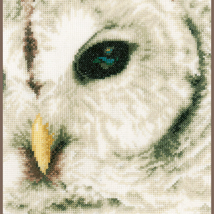 DIY Counted cross stitch kit Owl