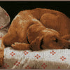 DIY Counted cross stitch kit Sleeping dog