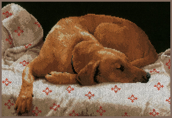 DIY Counted cross stitch kit Sleeping dog