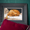 DIY Counted cross stitch kit Sleeping dog