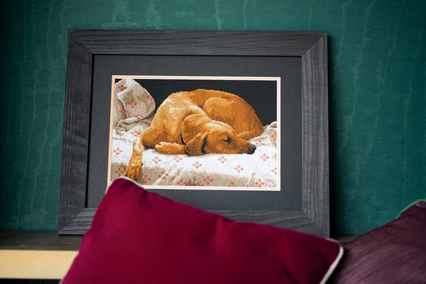 DIY Counted cross stitch kit Sleeping dog