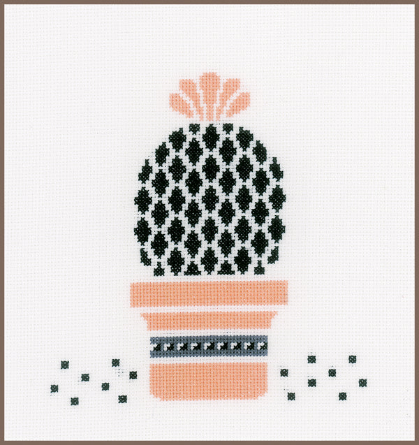 DIY Counted cross stitch kit Succulent 20 x 20 cm / 8