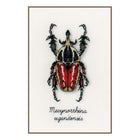DIY Counted cross stitch kit LMV Red beetle 12 x 18 cm / 4.8