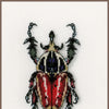 DIY Counted cross stitch kit LMV Red beetle 12 x 18 cm / 4.8" x 7.2"