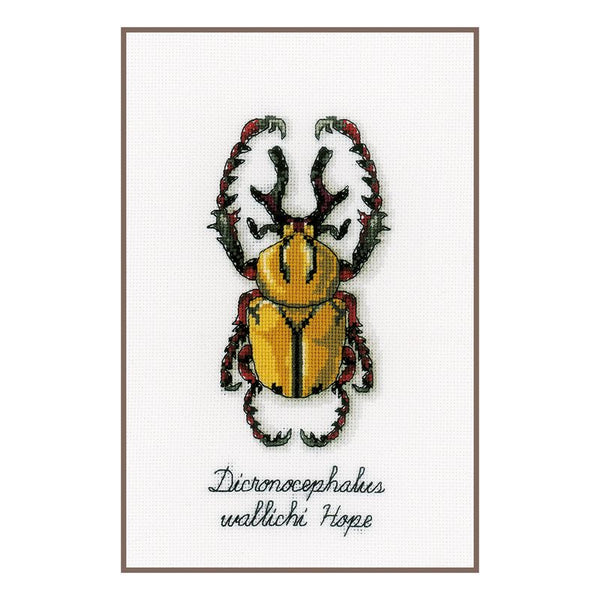 DIY Counted cross stitch kit LMV Golden beetle 10 x 19 cm / 4" x 7.6"