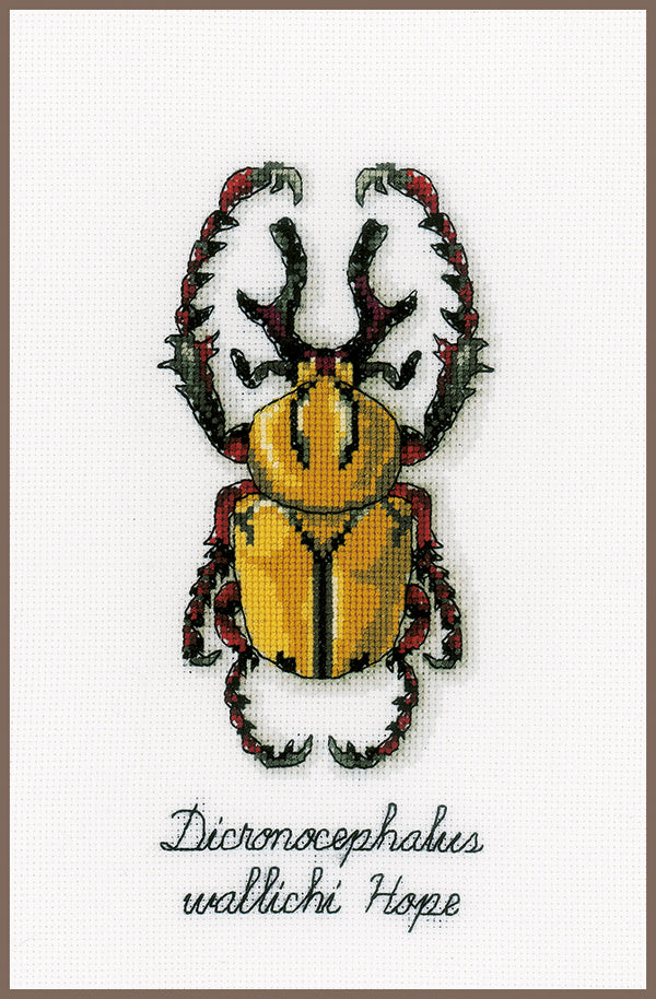 DIY Counted cross stitch kit LMV Golden beetle 10 x 19 cm / 4